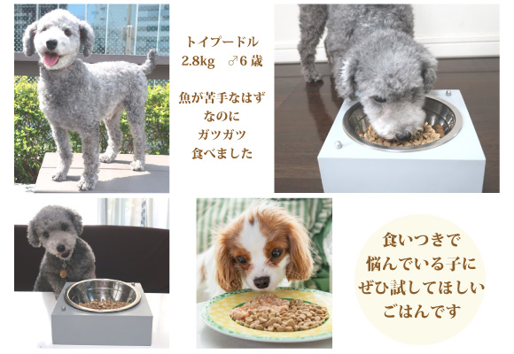 食いつきが好評なドッグフードです