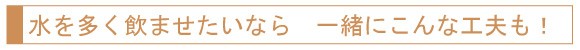 水を多く飲ませたいなら